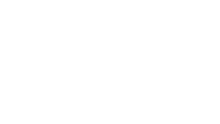 BF CONSULTING